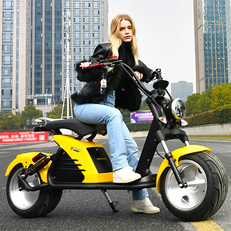 eHoodax M6 Electric Scooter 3000W Two Wheel Fat Tire